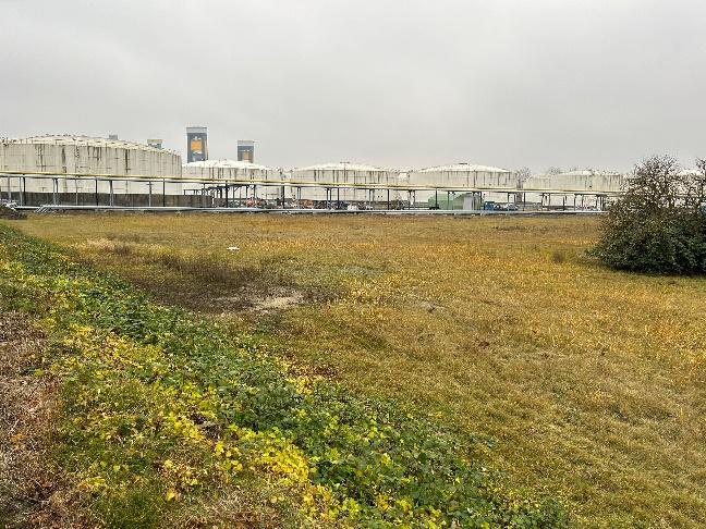 Visualisierung des Ammoniak-Terminals im Blumensandhafen, Hamburg, für die UVU und UVP-Berichterstattung.