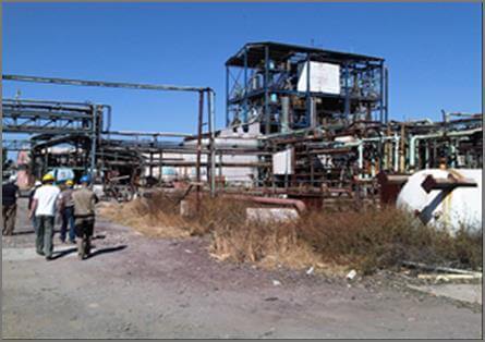 Ruinen der ehemaligen Pestizidfabrik in Salamanca, umgeben von Vegetation und Verfall.