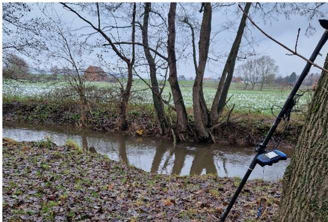 Blick auf die renaturierte Twiste mit natürlicher Ufervegetation im Hochwasserschutzprojekt in Volkmarsen.